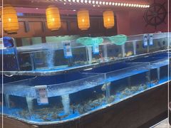 -张家卫·阳江菜·小海鲜(肥婆湾桥店)