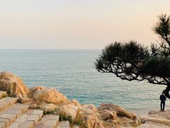 -青岛第二海水浴场