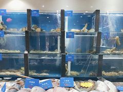 -品味居·首店·大连鲜活海鲜大连菜(东港店)