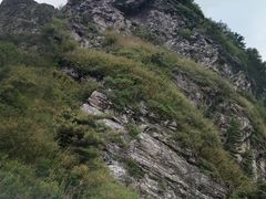 -牛背梁国家森林公园