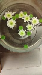 -彩虹之门健康管理