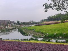 -天府芙蓉园