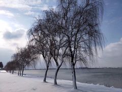 -漕湖湿地公园