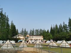 -前小桔亲子创意农场·草莓采摘·露营烧烤