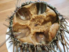 -海胆小馆(东北水饺·春柳店)