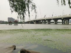 -蠡湖大桥公园