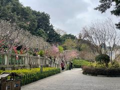 -乌山风景区