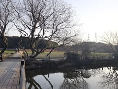 -八卦田遗址公园