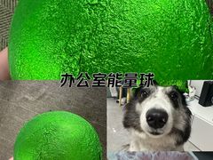 -鲜果壹号(苏站路店)