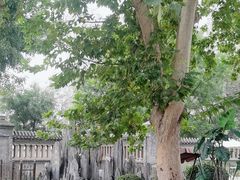 -卫鼎轩·曹公馆(鼓楼店)