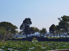 -无锡蠡湖国家湿地公园-蠡园
