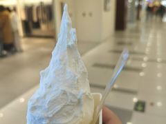 -野人先生Gelato(上海长宁龙之梦店)