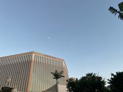 -澳门威尼斯人综合度假区