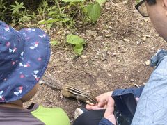 -五营红松林海景区