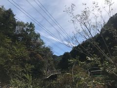 -牛背梁国家森林公园