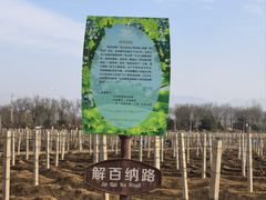 -北京张裕爱斐堡酒庄