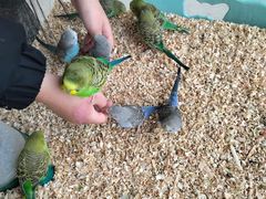 -怪兽屋·羊驼·猫咖·狗咖(俊华广场店)