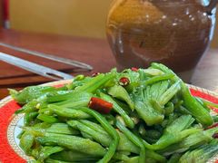 -菌之家·专业纯野生菌火锅·特色炒菌