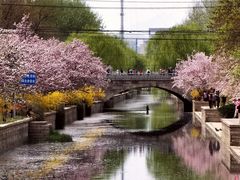 -元大都城垣遗址公园