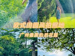 -南沙蒲洲花园
