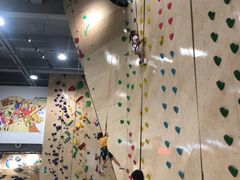 -ROCKPLUS攀岩馆(环宇城店)