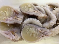 -铭聚章鱼土笋冻(松柏店)