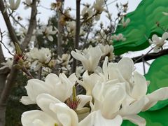 -南宫五洲植物乐园