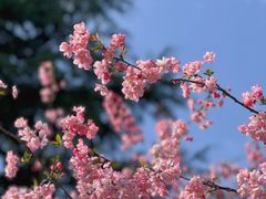 -观山湖公园