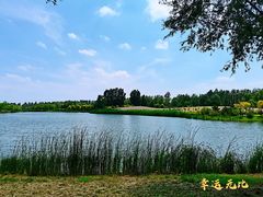 -东郊湿地公园