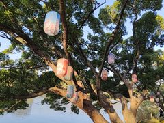 -江心屿景区