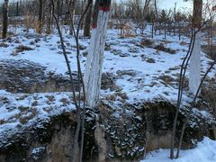 -青藏高原野生动物园