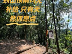 -黄埔油麻山森林公园
