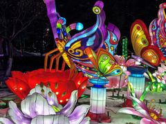 -沈阳奥体冰雪嘉年华