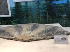 -辽宁古生物博物馆