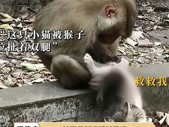 -昆明动物园