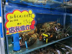 -蚝专家(北滘店)