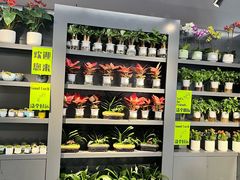 -农工商超市(金沙江路店)