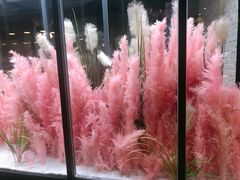 -拈菜(观音桥阳光世纪店)