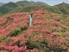 -大围山国家森林公园