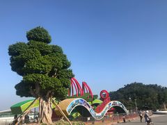 -野狸岛