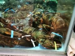 -快乐海鲜城(虎泉街店)