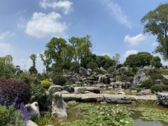 -东莞植物园