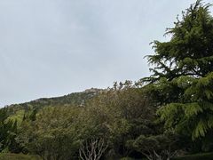 -石岛赤山风景区