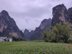 -明仕田园