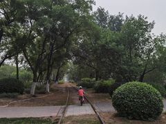 -永定河休闲森林公园