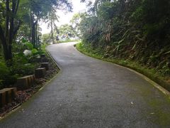 -广州市帽峰山景区