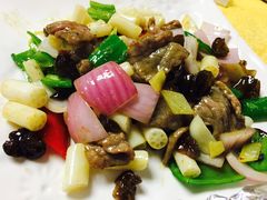 -鸽王世家(东华东路店)