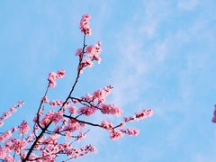 -江南大学(蠡湖校区)
