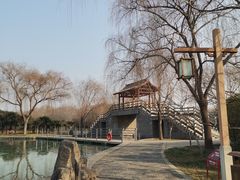 -洛阳市隋唐城遗址植物园