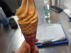 -东镇老火锅(城阳瑞阳路店)